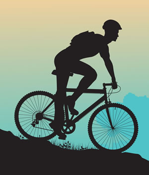 All things cycling at Almonte Bicycle Works